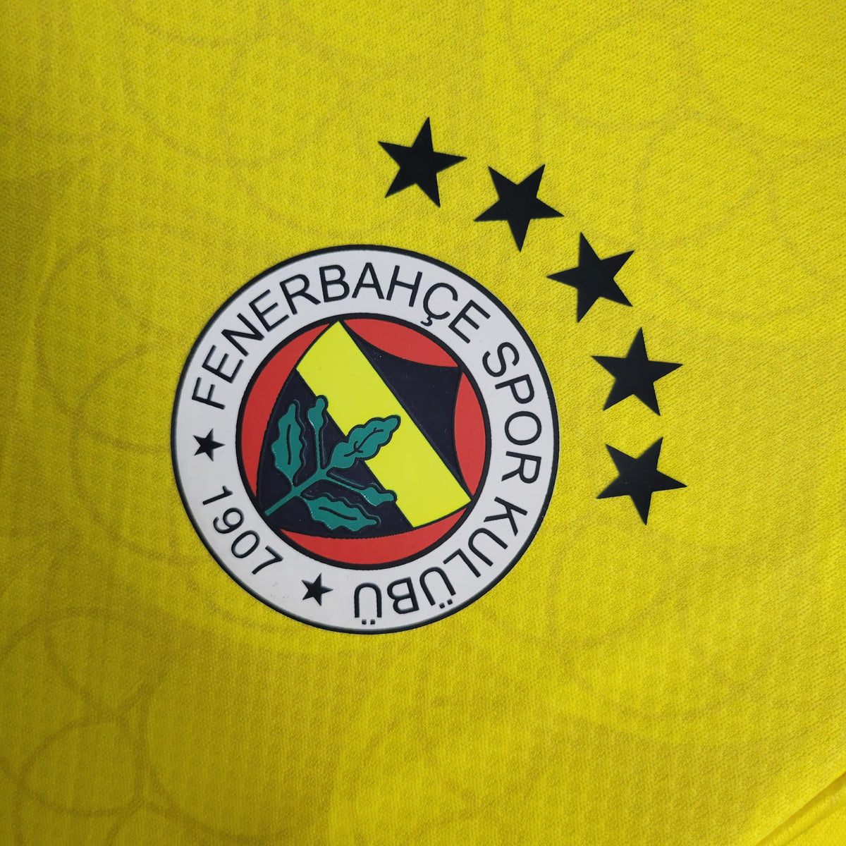 Fenerbahçe Alternativa 23/24