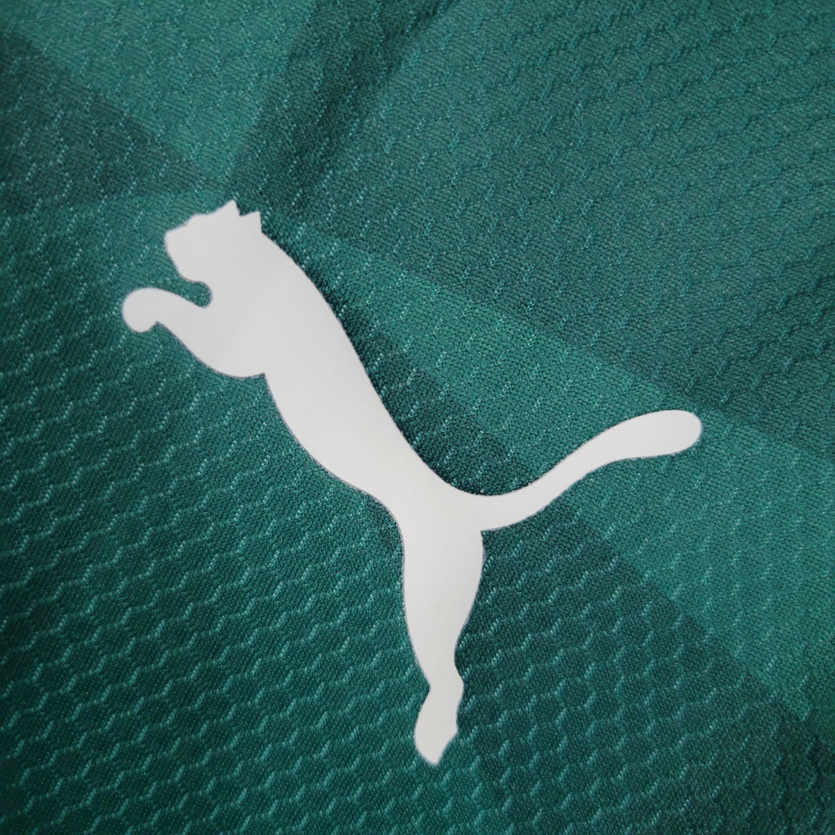 Palmeiras Principal 23/24