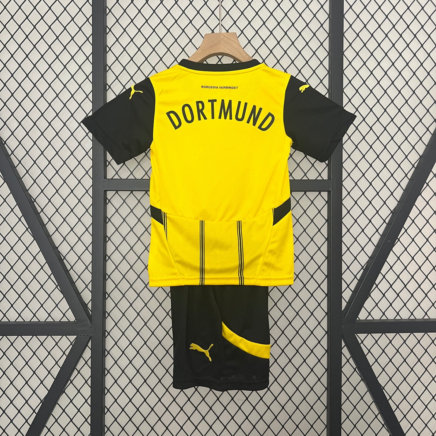 Borussia Dortmund 24/25