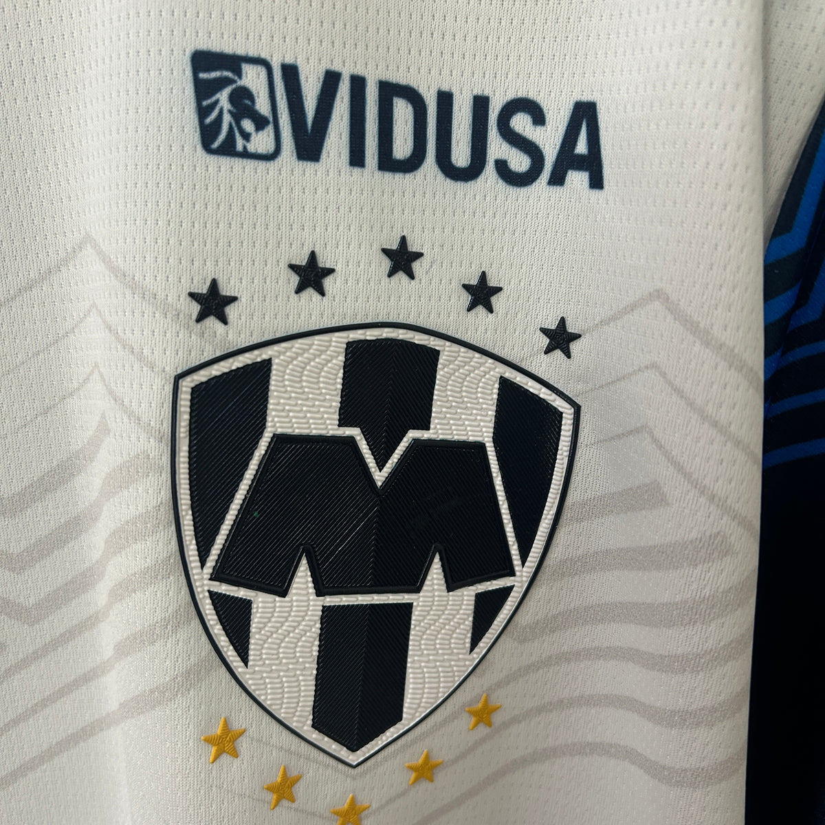 Monterrey Alternativa 24/25