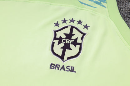 Brasil 23/24