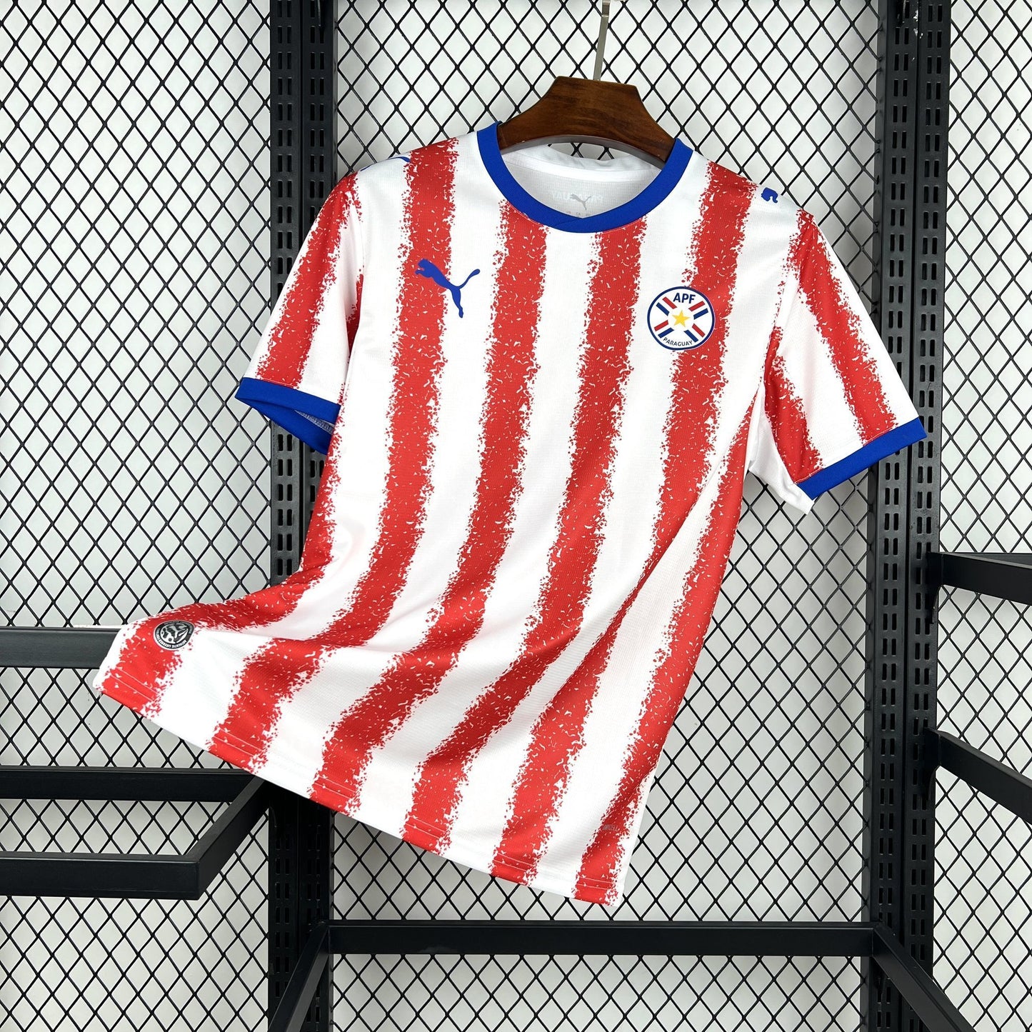Paraguay Principal 2026